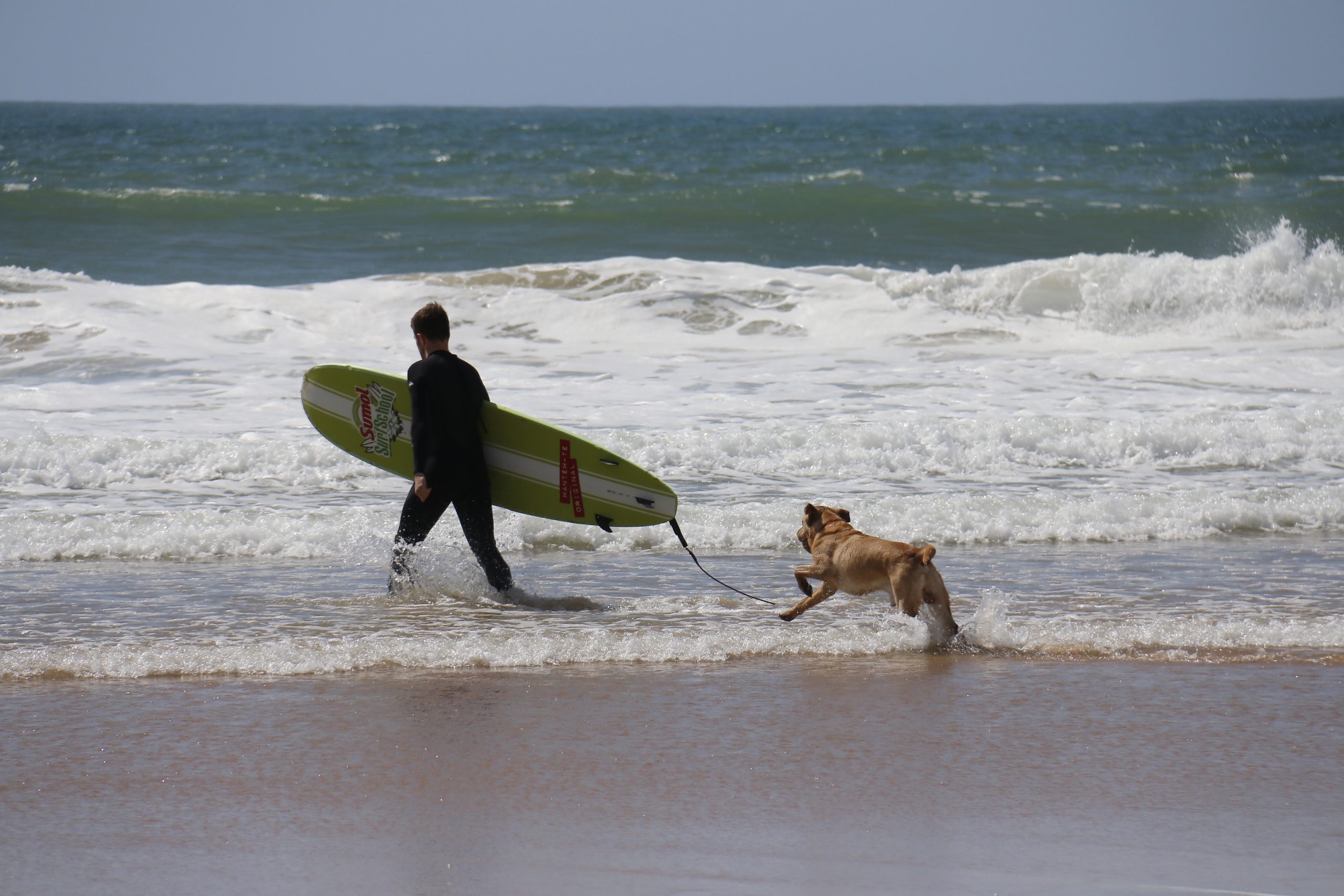 surf palaia Krapets